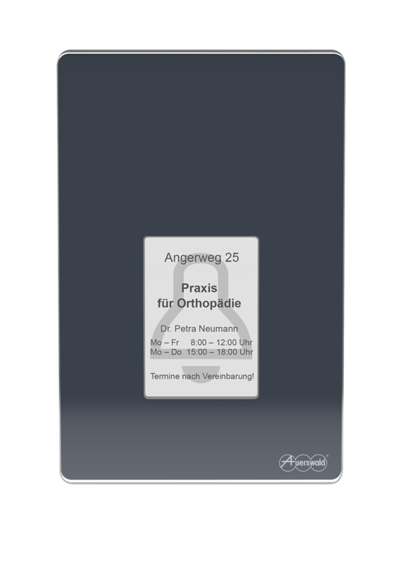 csm_Produkt_AU_TFSDialog400Serie_Variante_anthrazit_1Taster_Front_6d61fe5438